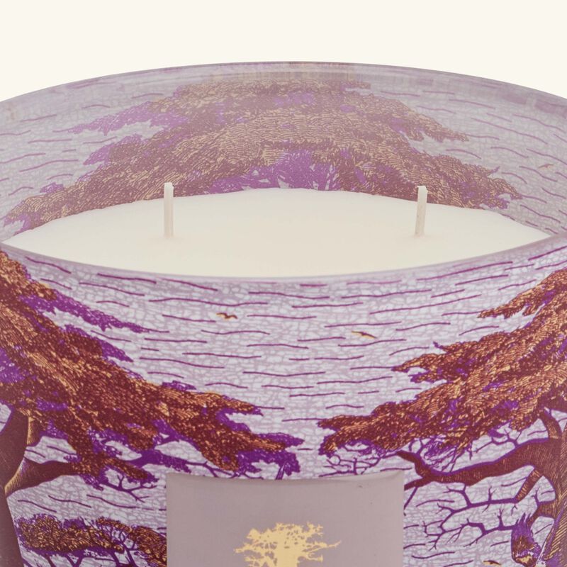 baobab collection sacred trees massasso candle max 16