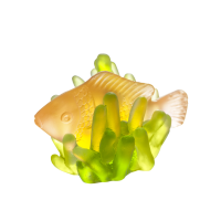 Small Amber Fish & Green Anemone Corals, small