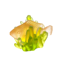Small Amber Fish & Green Anemone Corals Small Amber Fish & Green Anemone Corals, small