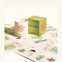 آسولين شمعة توسكاني مارفل