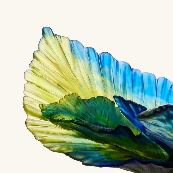 medium