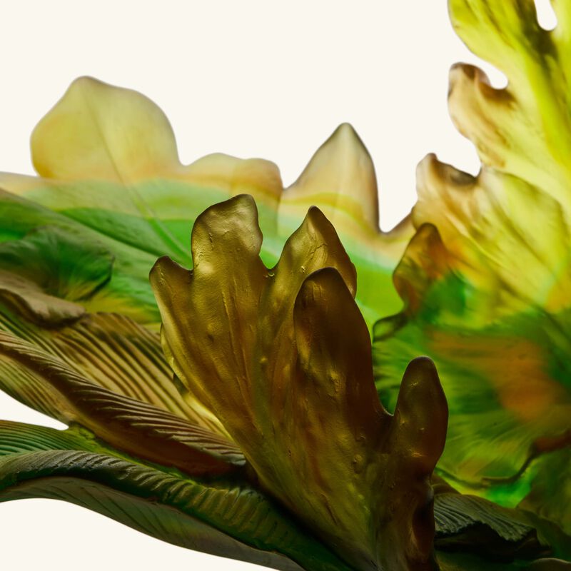 Borneo Magnum Centerpiece Green daum borneo magnum centerpiece green