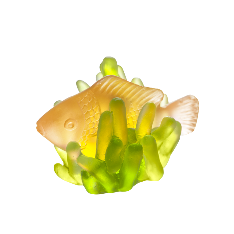 Small Amber Fish & Green Anemone Corals, large