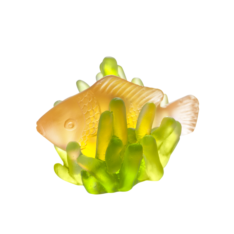 Small Amber Fish & Green Anemone Corals Small Amber Fish & Green Anemone Corals, large