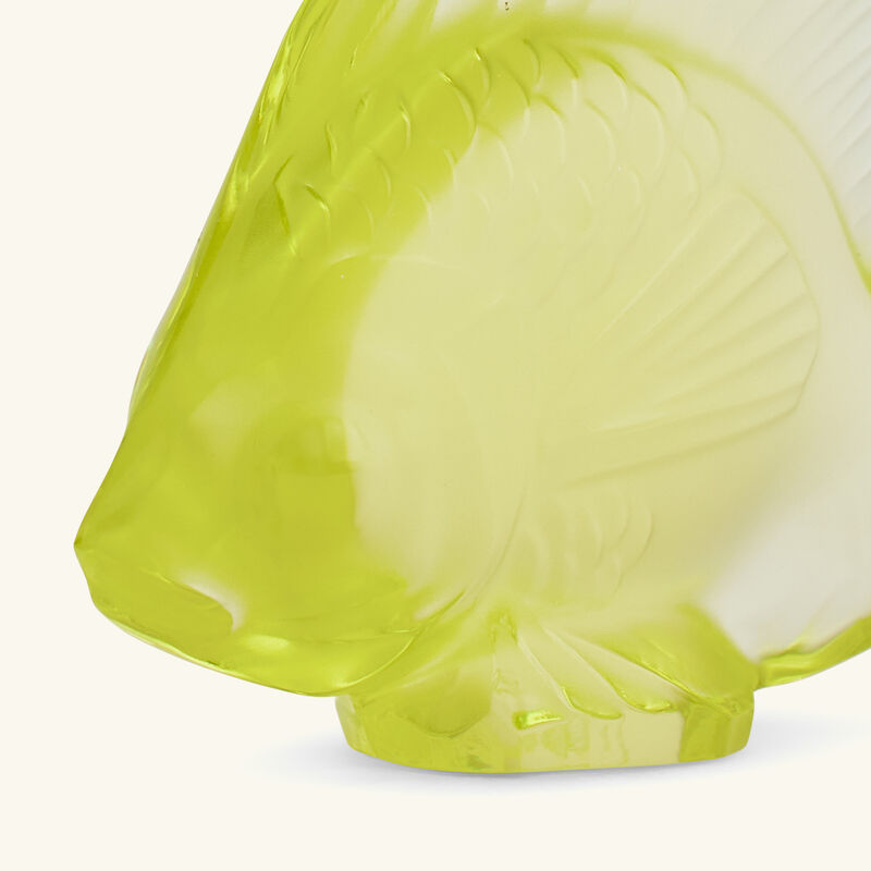 large