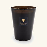 baobab collection encre de chine candle max 24