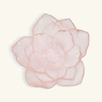daum camellia centerpiece pink