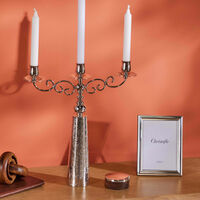 christofle jardin d eden candelabra silver plated