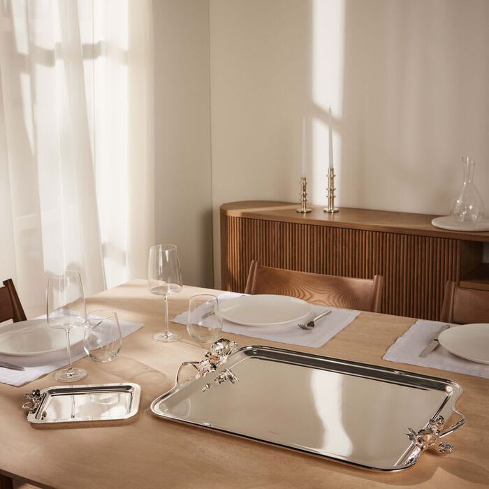 كريستوفل صينية الضيافة أنيمون مستطيلة صغيرة باللون الفضي