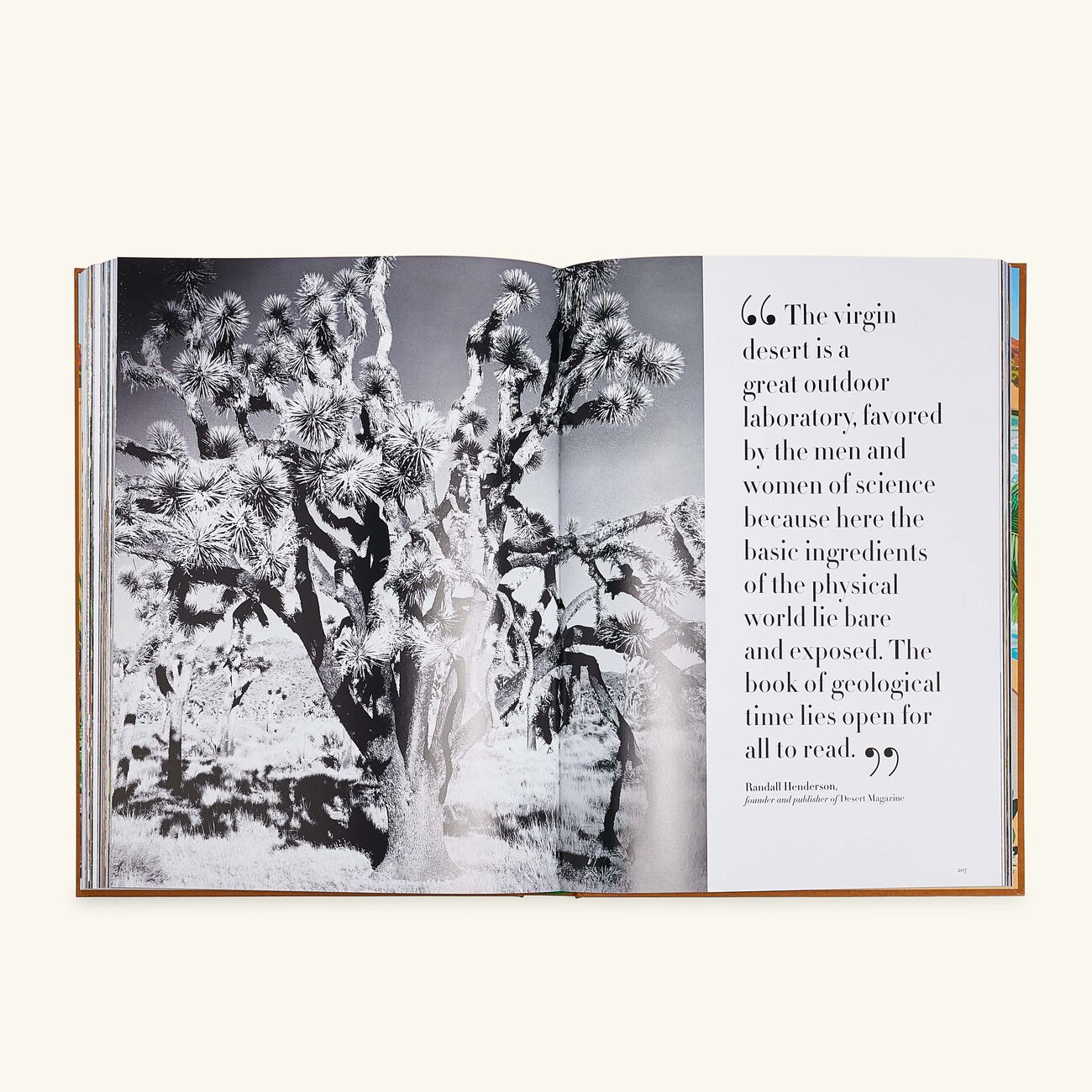 Palm Springs Book 33x25cm assouline palm springs book 33x25cm