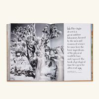 Palm Springs Book 33x25cm assouline palm springs book 33x25cm