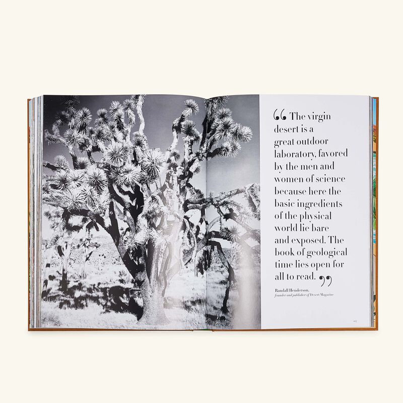 Palm Springs Book 33x25cm assouline palm springs book 33x25cm