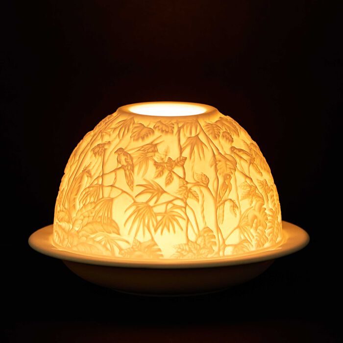 bernardaud borneo led lithophanie