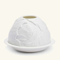 مصباح ليثوفاني ماغنوليا بلوسومز برناردو مصباح ليثوفاني ماغنوليا بلوسومز