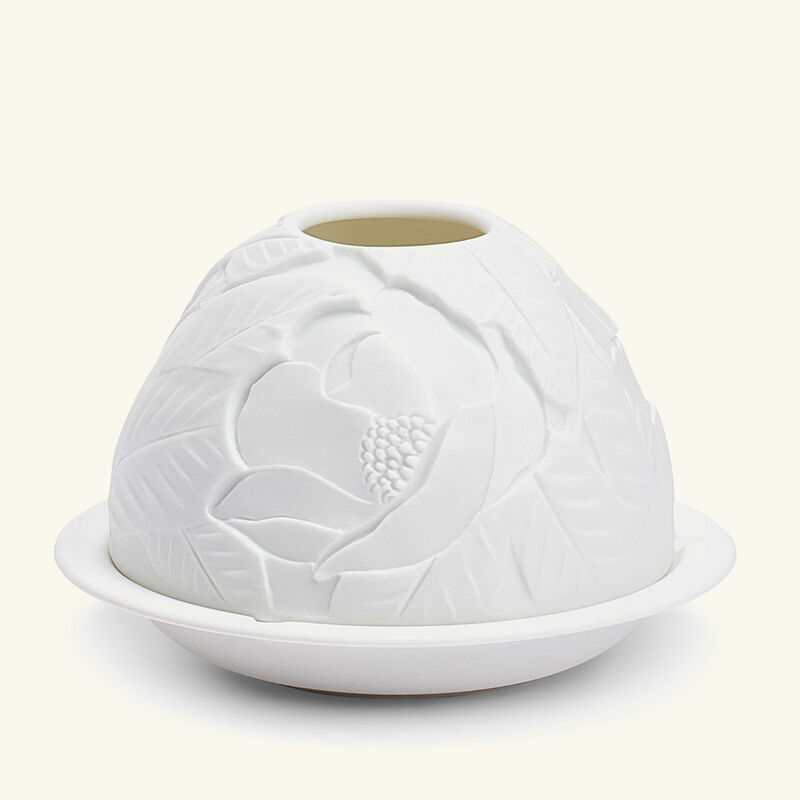 مصباح ليثوفاني ماغنوليا بلوسومز برناردو مصباح ليثوفاني ماغنوليا بلوسومز