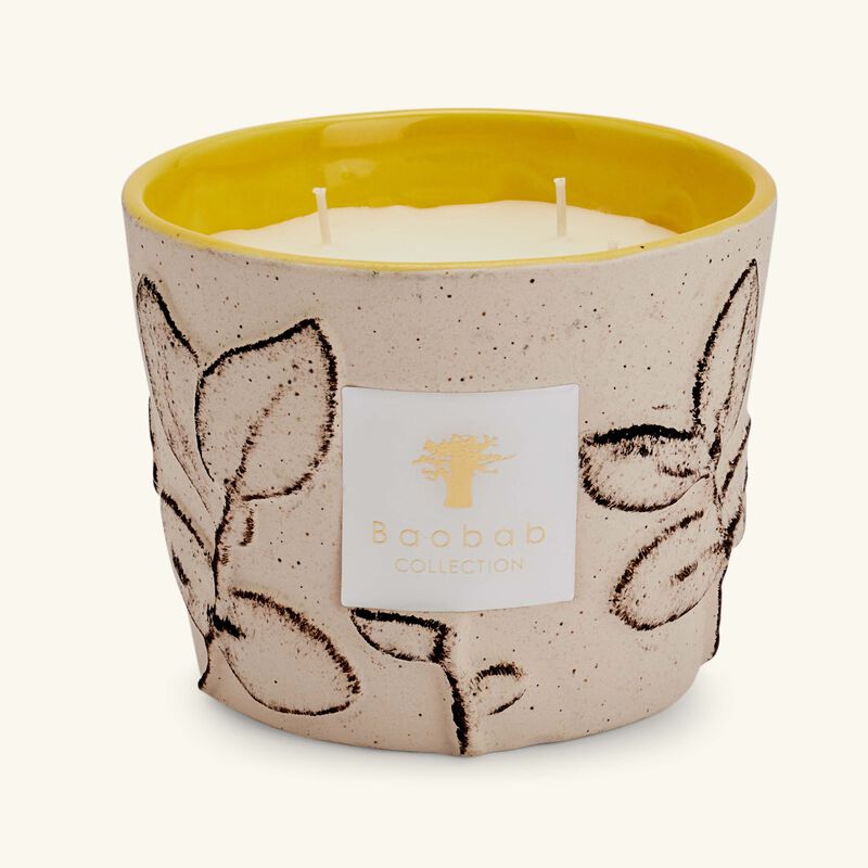 Folia Calanque Candle Max 10 baobab collection folia calanque candle max 10