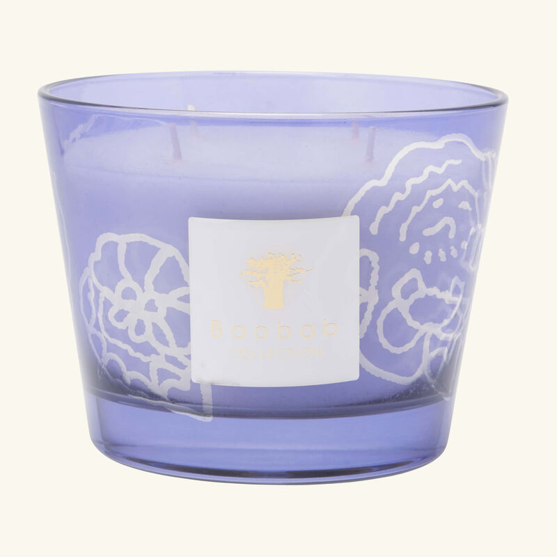 baobab collection collectible roses dark parma candle max 10