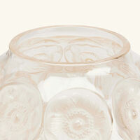 lalique anemones vase medium gold
