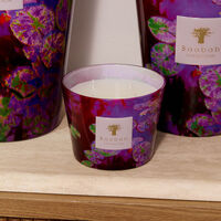 baobab collection water lily candles max 10