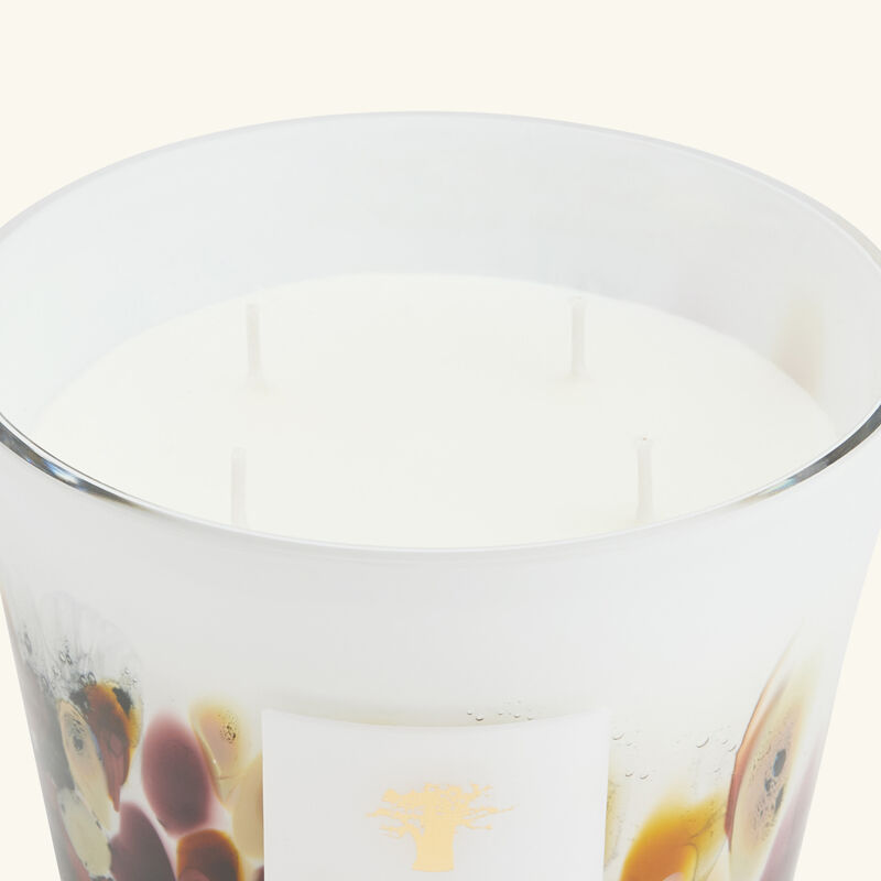Rainforest Tanjung Candle Max 10 baobab collection rainforest tanjung candle max 10