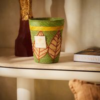 baobab collection ravintsara ravina candle max 24