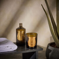 trudon abd el kader room spray 375 ml