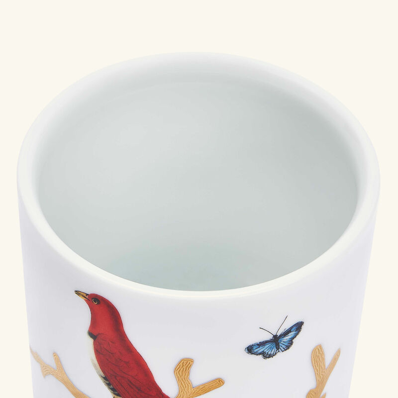 bernardaud aux oiseaux box white