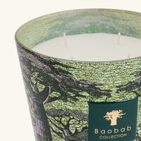baobab collection sacred trees touba candle max 16