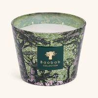 baobab collection sacred trees touba candle max 10