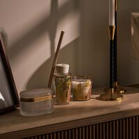 baobab collection my first baobab  miami giftbox