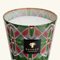 baobab collection maxi wax malia candle max 16