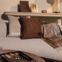 etro arnica embroidered cushion brown