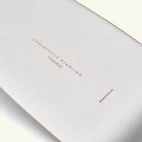 كريستوفل صينية مارلي لتقديم الكيك باللون الفضي