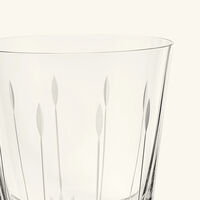 lalique lotus tumbler glass clear set of 2