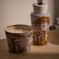 baobab collection sacred trees boukani candle max 16