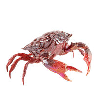Crab Sculpture, small