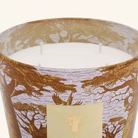 Sacred Trees Cocody Candle Max 10 baobab collection sacred trees cocody candle max 10