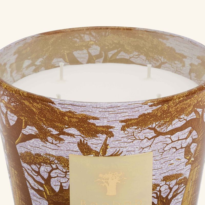 Sacred Trees Cocody Candle Max 10 baobab collection sacred trees cocody candle max 10