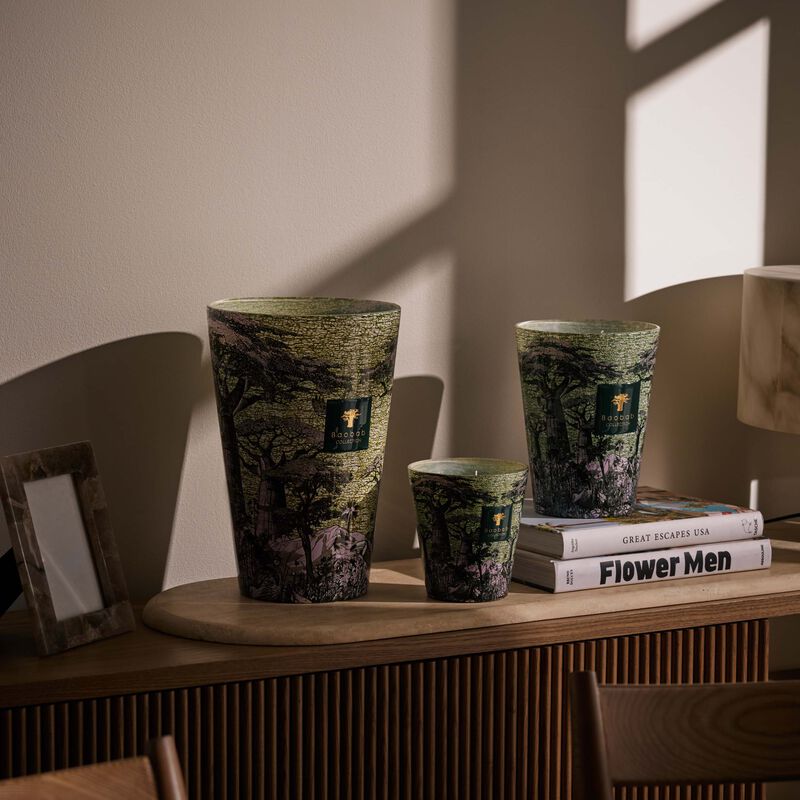 Sacred Trees Touba Candle Max 16 baobab collection sacred trees touba candle max 16