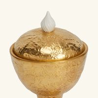 #N/A فيلاري n a