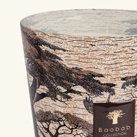 Sacred Trees Mankono Candle Max 35 baobab collection sacred trees mankono candle max 35