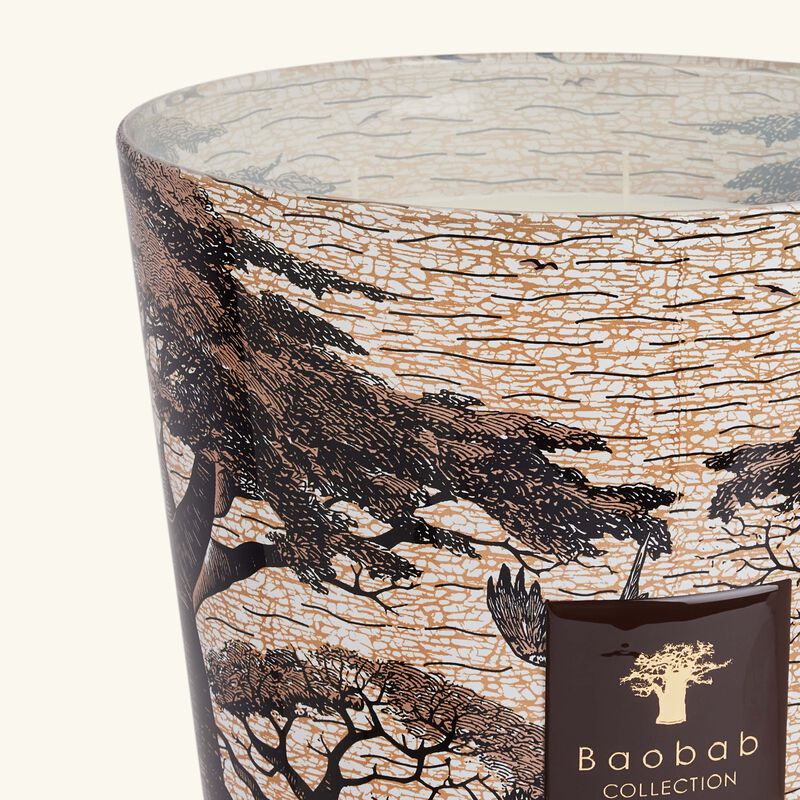 Sacred Trees Mankono Candle Max 35 baobab collection sacred trees mankono candle max 35