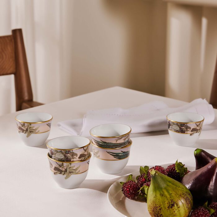haviland le br sil arabic coffee cup set of 6