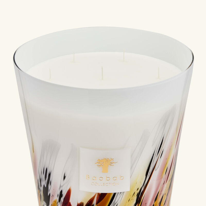 Rainforest Tanjung Candle Maxi Max baobab collection rainforest tanjung candle maxi max