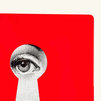 fornasetti serratura bookends red