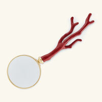 l objet coral magnifying glass red