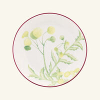 ginori 1741 florenza acanto impero tea cup saucer green