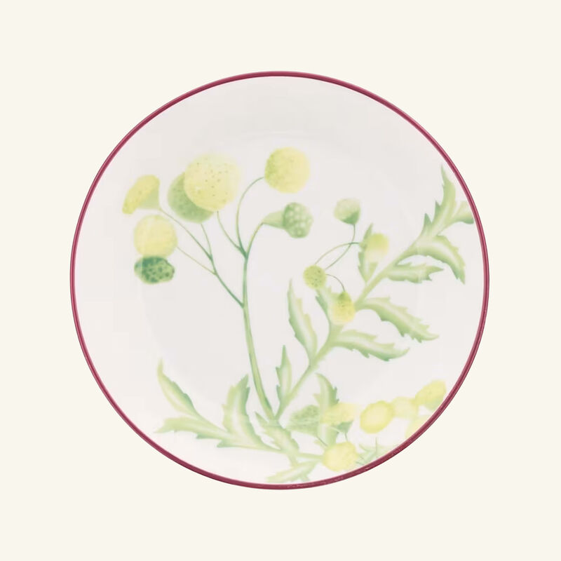 ginori 1741 florenza acanto impero tea cup saucer green