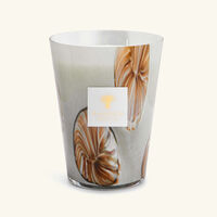 baobab collection oceania anangu candle max 24