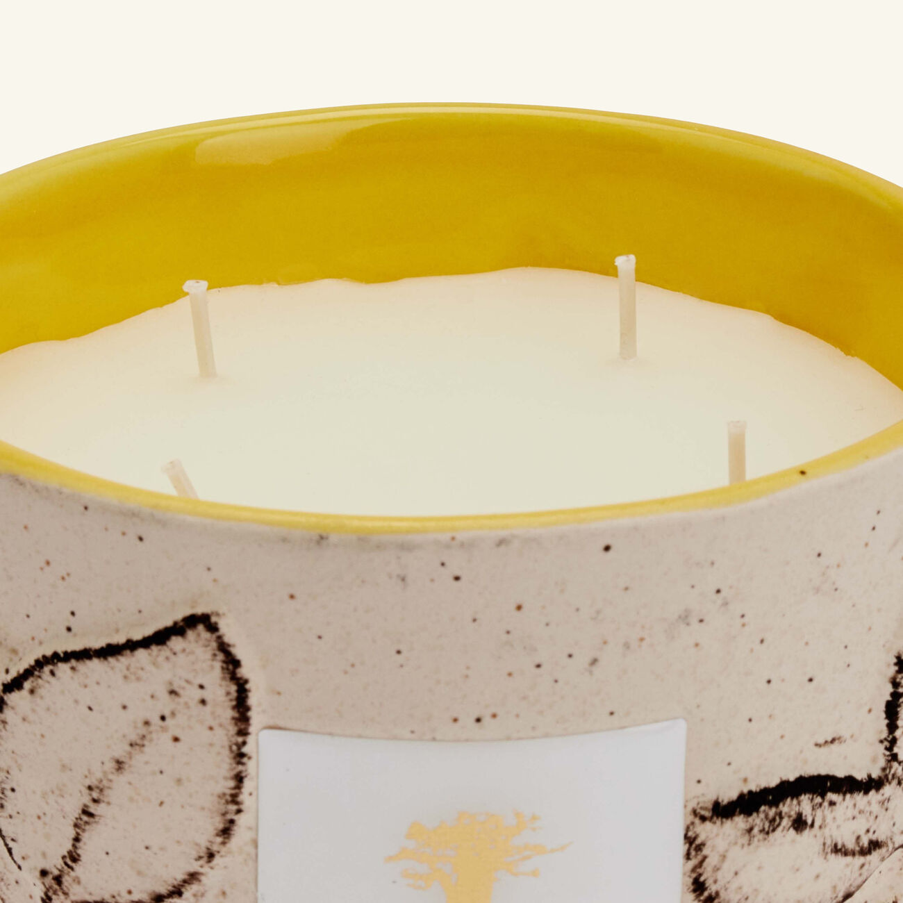 baobab collection folia calanque candle max 10